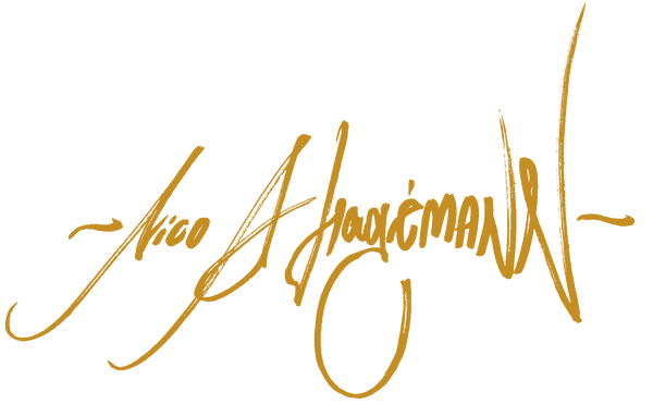 Nico A Hagemann